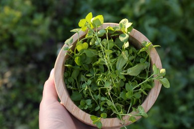 Photo of Woman holding wooden bowl with fresh green herbs outdoors, top view