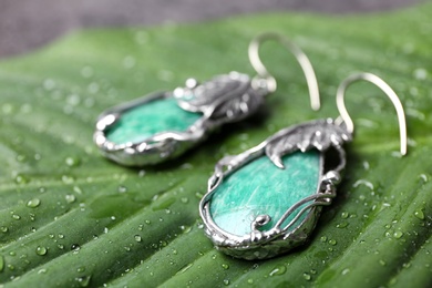 Beautiful pair of silver earrings with amazonite gemstones on green leaf, closeup