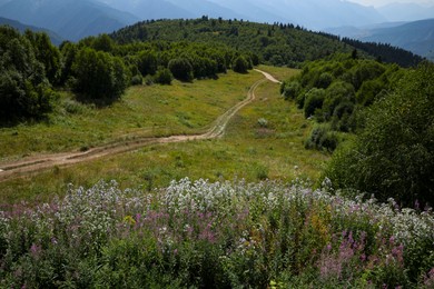 Photo of Picturesque view of gravel road and forest in mountains