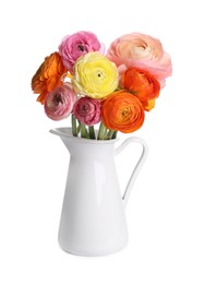 Beautiful ranunculus flowers in jug isolated on white