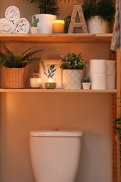 Stylish bathroom interior with toilet bowl and green plants