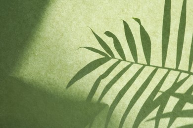 Photo of Shadow of houseplant on light green background