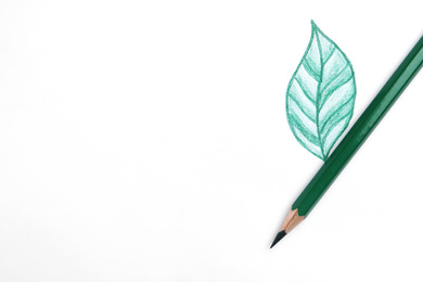 Drawing of green leaf and color pencil on white background, top view