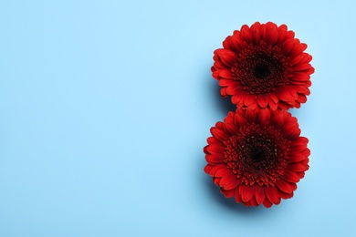 Number 8 made with red gerberas on light blue background, flat lay and space for text. International Women's day
