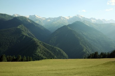 Picturesque view of mountain forest and people resting on green meadow