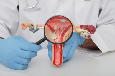 Gynecologist demonstrating model of female reproductive system at table, closeup