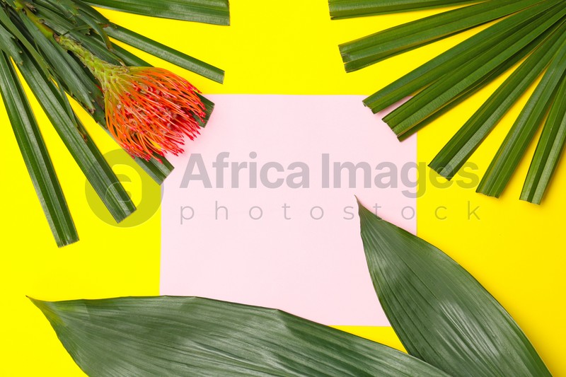 Creative flat lay composition with tropical leaves and protea flower on yellow background