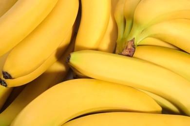 Closeup view of ripe yellow bananas as background