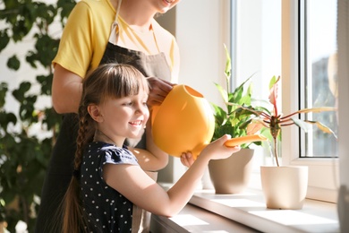 Mother and daughter watering home plants on windowsill indoors