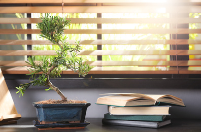 Japanese bonsai plant and books on table near window. Creating zen atmosphere at home
