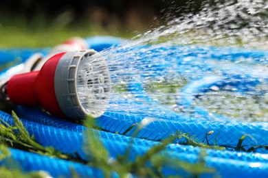 Photo of Water spraying from hose on green grass outdoors, closeup