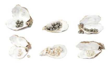Set with beautiful pearls oyster shells on white background