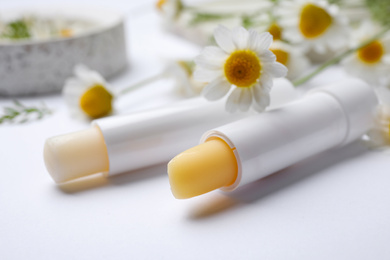 Hygienic lipsticks and chamomile flowers on white background, closeup