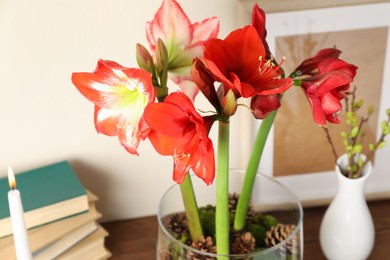 Photo of Beautiful red amaryllis flowers on table, closeup