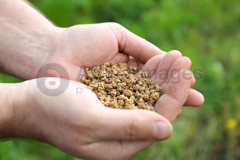 Man holding many beet seeds outdoors, closeup