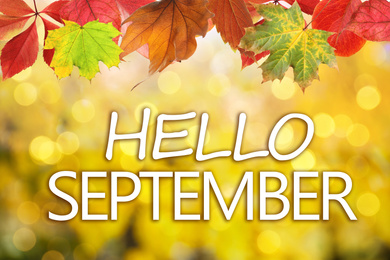 Text Hello September and autumn leaves on blurred background, bokeh effect