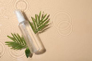 Photo of Wet bottle of micellar water and green twigs on beige background, flat lay. Space for text