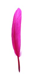 Fluffy beautiful magenta feather isolated on white