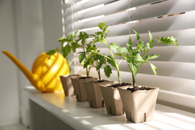 Photo of Green tomato seedlings in peat pots on white windowsill indoors