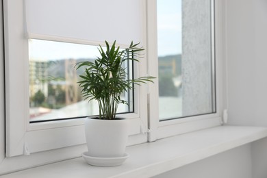 Photo of Houseplant on white sill near window with roller blinds