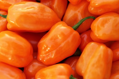 Photo of Orange hot chili peppers as background, closeup