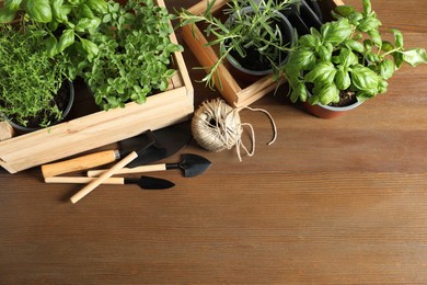 Photo of Crates with different potted herbs and gardening tools on wooden table, above view. Space for text