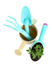 Photo of Watering can, rake and trowel with plant on white background, above view