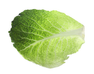 Photo of Green leaf of savoy cabbage isolated on white