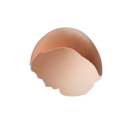 Shell of egg isolated on white background