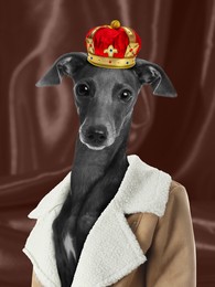 Italian Greyhound dog dressed like royal person against brown background