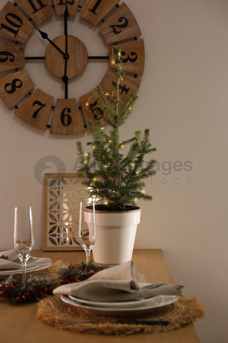 Small potted fir tree on dining table indoors. Interior design