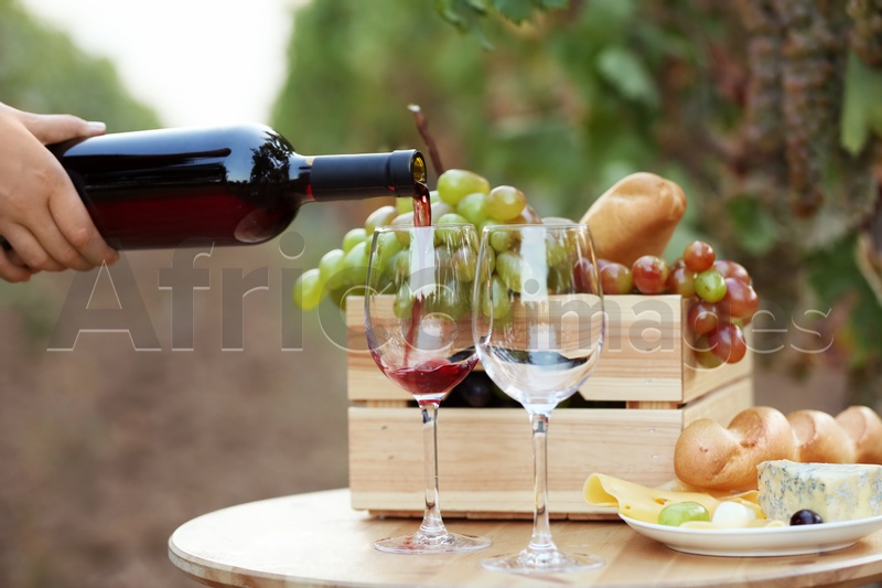 Woman pouring red wine into glass on table in vineyard