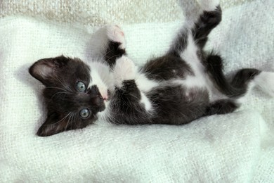 Photo of Cute baby kitten lying on cozy blanket