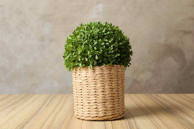Beautiful artificial plant in wicker flower pot on wooden table