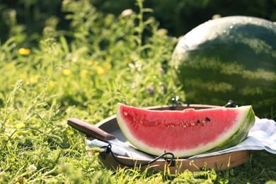 Tasty ripe watermelons on green grass. Space for text