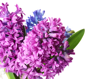 Bouquet of beautiful hyacinth flowers on white background. Springtime