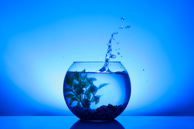 Splash of water in round fish bowl with decorative plant and pebbles on blue background