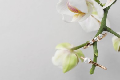 Photo of Elegant pearl rings and orchid flowers on white background, closeup. Space for text