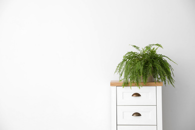 Photo of Potted fern on chest of drawers near white wall, space for text. Home plants