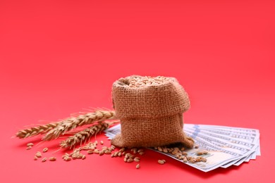 Import and export concept. Bag with grains, ears of wheat and money on red background