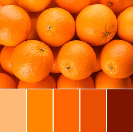 Color palette and fresh ripe oranges as background, top view