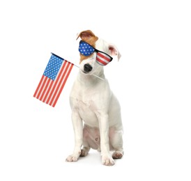 4th of July - Independence Day of USA. Cute dog with sunglasses and American flag on white background