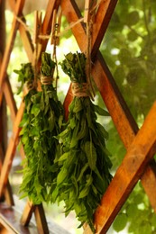 Bunches of beautiful green mint hanging on rope outdoors