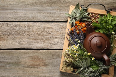 Tray with teapot surrounded by different herbs on wooden table, top view. Space for text