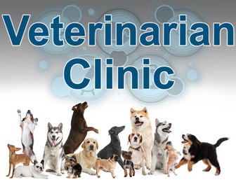 Collage with different dogs and text Veterinarian Clinic on light background