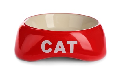 Cat bowl on white background. Pet care