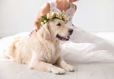 Bride and adorable Golden Retriever wearing wreath made of beautiful flowers indoors, closeup