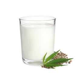 Glass of fresh hemp milk, seeds and leaf on white background