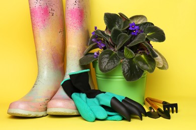 Gardening gloves, gumboots and tools near bucket with houseplant on yellow background