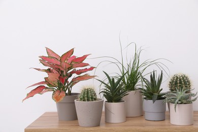 Photo of Many different houseplants in pots on wooden table near white wall